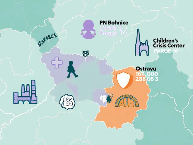 Krizová centra v ČR - kde najít okamžitou pomoc v nouzi