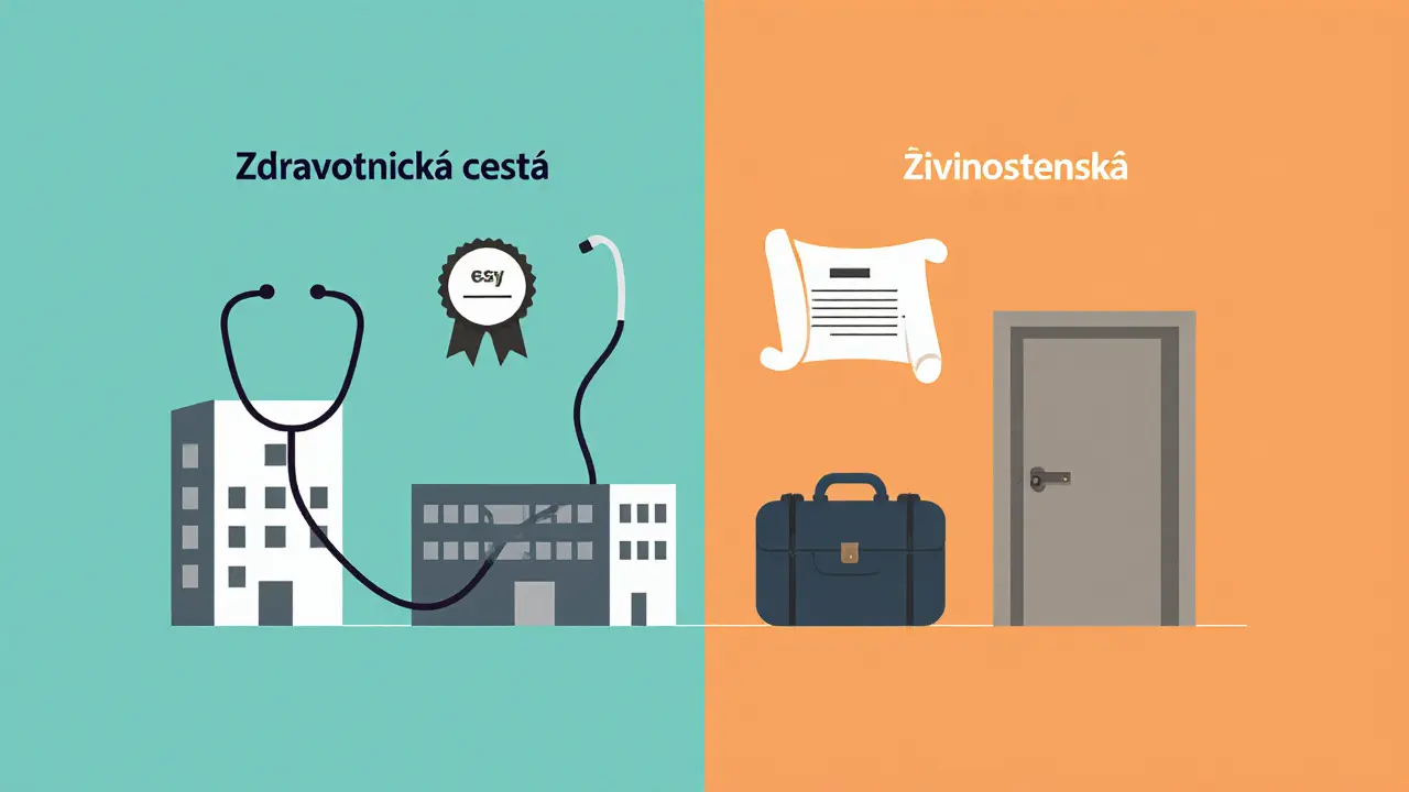 Rozdělený obrázek ukazující rozdíly mezi zdravotnickou a živnostenskou cestou.