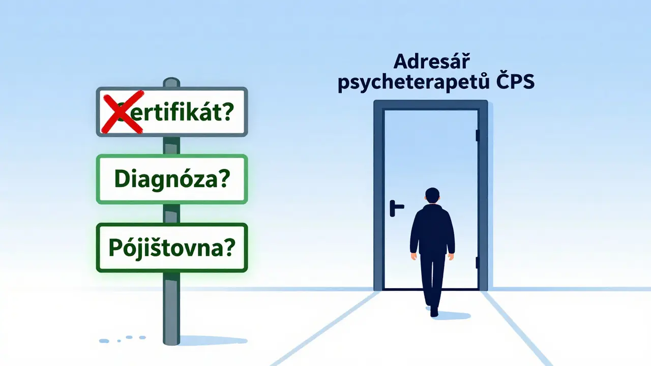 Cesta k ověřenému terapeutovi podle adresáře České psychoterapeutické společnosti s indikátory kvality.