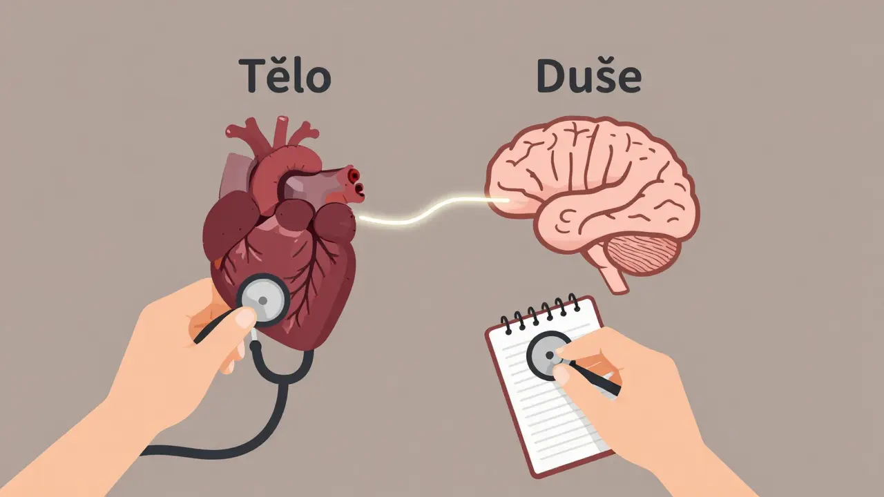 Srdce a mozek spojené světlem, oba dostávají stejnou péči.