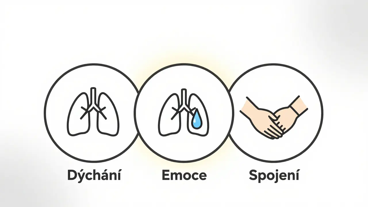 Tři překrývající se kruhy symbolizují dýchání, emoce a spojení jako pilíře duševní pohody.