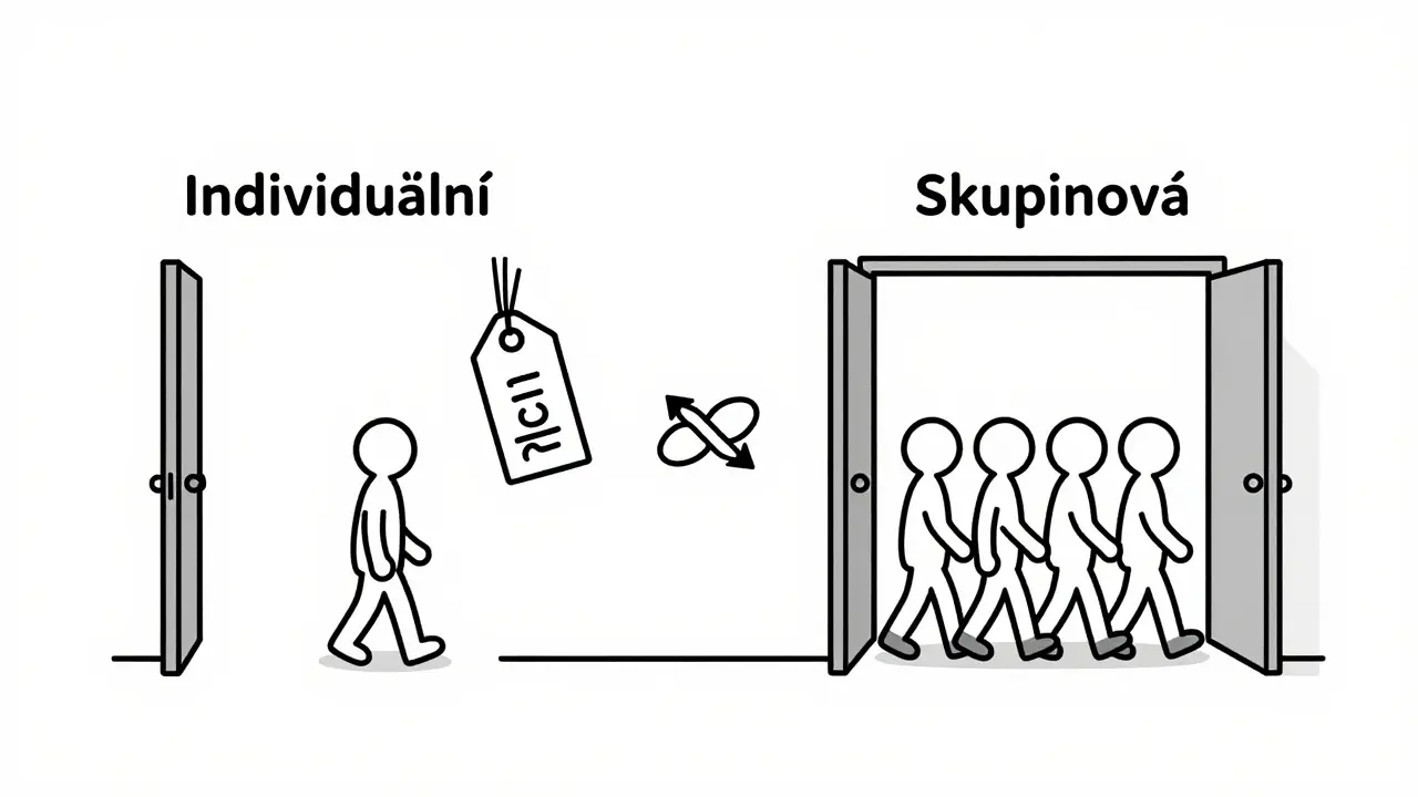 Dvě cesty: jedna pro individuální terapii, druhá pro skupinovou, s možností kombinace.