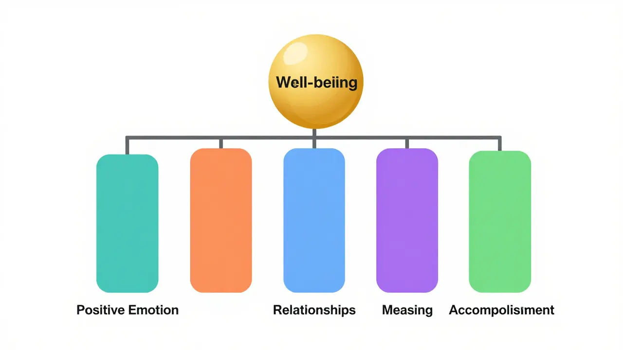 Minimalistické znázornění pěti pilířů modelu PERMA podepírajících pohodu.